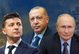 Российско-украинский конфликт и миротворческая миссия Эрдогана - Взгляд из Москвы