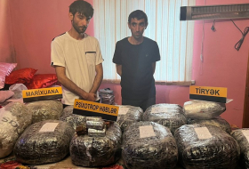 МВД: В Баку арестованы члены банды, доставившие из Ирана 73 кг наркотиков